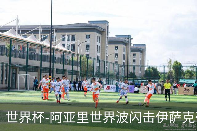 世界杯-阿亚里世界波闪击伊萨克破门 半场瑞典2-1突尼斯